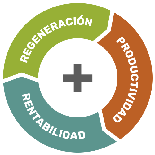 circulo virtuoso entre la produccion y el ambiente