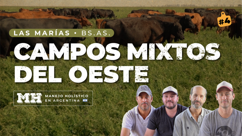 flyer campos mixtos del oeste